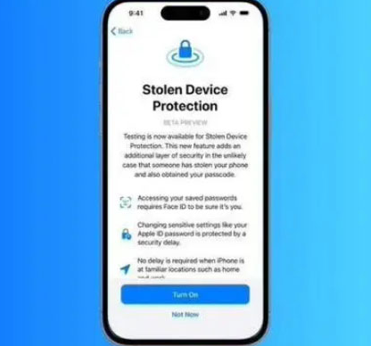 镇沅苹果授权维修店分享被盗设备保护功能开启方法 