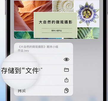 镇沅apple维修中心分享iPhone文件应用中存储和找到下载文件