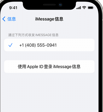 镇沅apple维修iPhone上无法正常发送iMessage信息