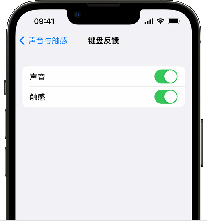 镇沅苹果14维修店分享如何在 iPhone 14 机型中使用触感键盘 