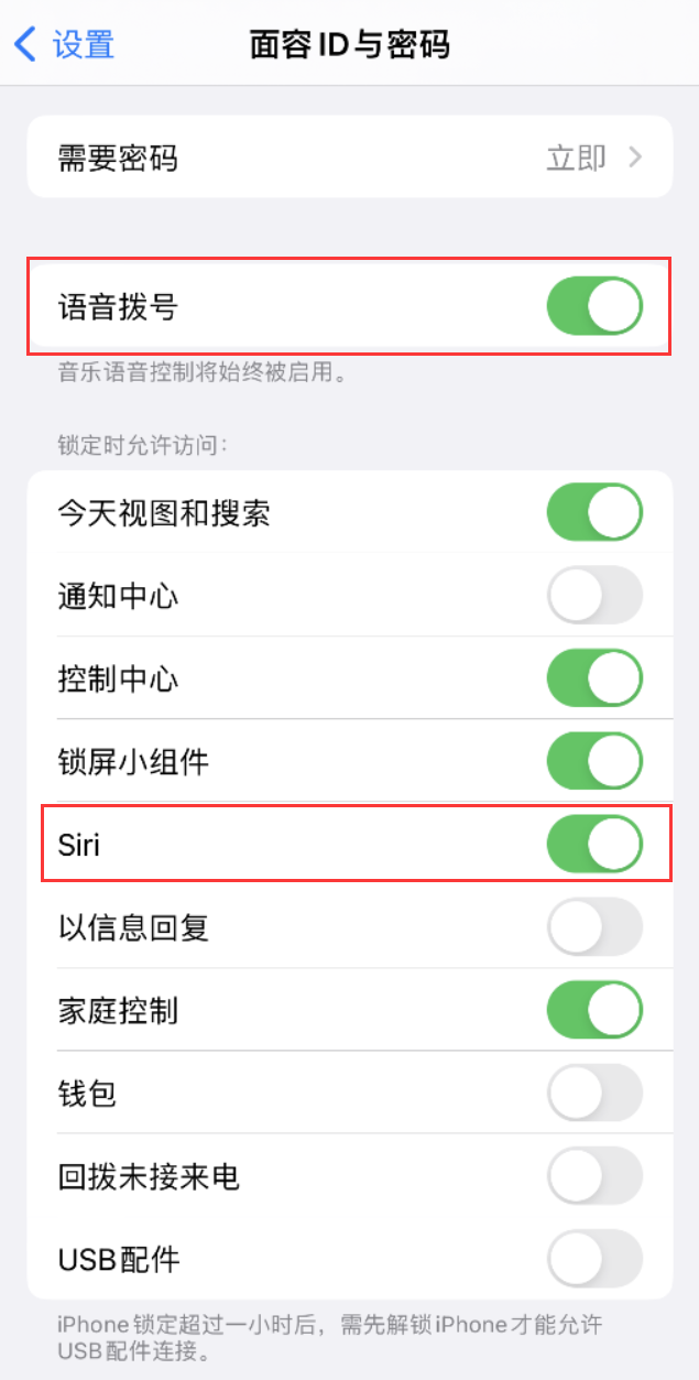 镇沅苹果维修网点分享不解锁 iPhone 的情况下通过 Siri 拨打电话的方法 