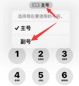 镇沅苹果14维修店分享iPhone 14 Pro Max使用副卡打电话的方法 