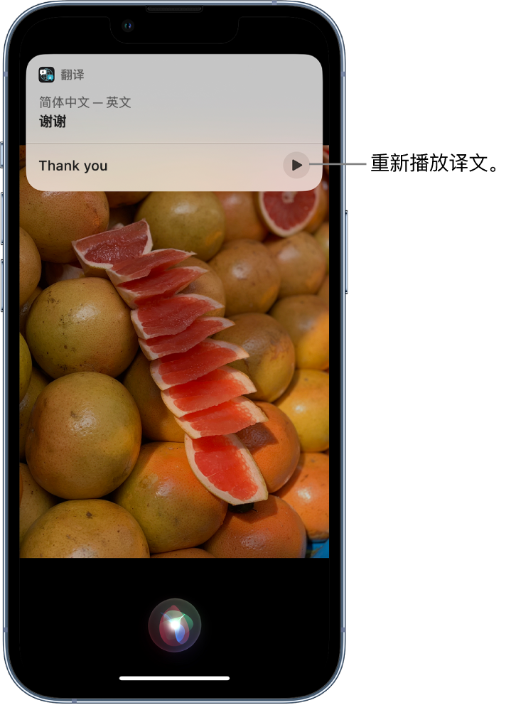 镇沅苹果14维修分享 iPhone 14 机型中使用 Siri：了解 Siri 能帮你做什么 