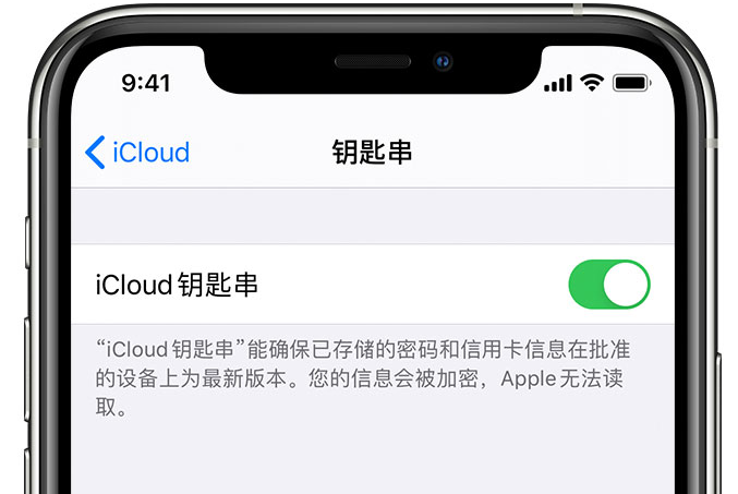 镇沅苹果手机维修分享在 iPhone 上开启 iCloud 钥匙串之后会储存哪些信息 